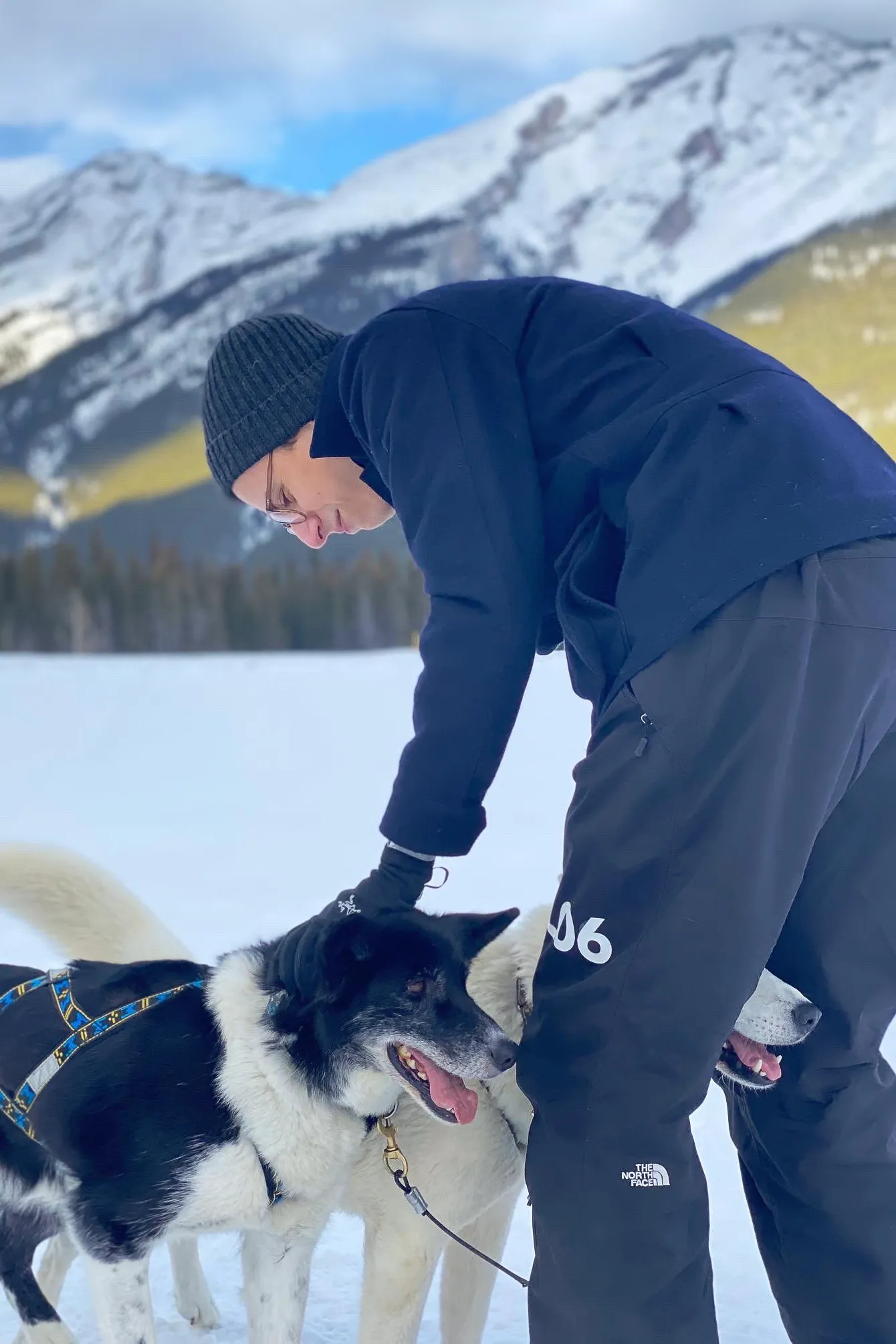 A picture of me petting two good dogs in a snowy landscape in Banff, Canada.