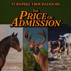 A picture of The Price of Admission